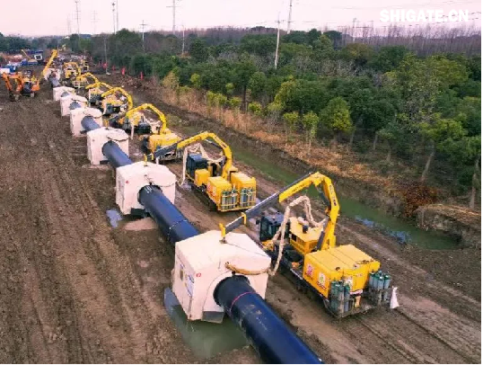 我國(guó)重要的能源大通道——中俄東線天然氣管道工程于2024年11月18日全線完工。在該項(xiàng)目的建設(shè)過程中，舞鋼公司供應(yīng)的X80（D1422毫米×57毫米）管線鋼，是目前國(guó)內(nèi)應(yīng)用在工程項(xiàng)目上厚度、管徑、技術(shù)難度均實(shí)現(xiàn)突破的管線鋼。生產(chǎn)該類管線鋼，不僅厚度規(guī)格以前從來沒有嘗試過，而且技術(shù)條件中的沖擊試驗(yàn)溫度也由零下30攝氏度降至零下45攝氏度，沖擊功值卻由70焦耳提升到135焦耳，超出國(guó)家標(biāo)準(zhǔn)95焦耳。舞鋼公司對(duì)鋼種成分及生產(chǎn)工藝進(jìn)行優(yōu)化，確保了各項(xiàng)指標(biāo)全部?jī)?yōu)于客戶要求，實(shí)現(xiàn)大批量供貨。 